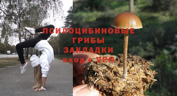 винт Армянск