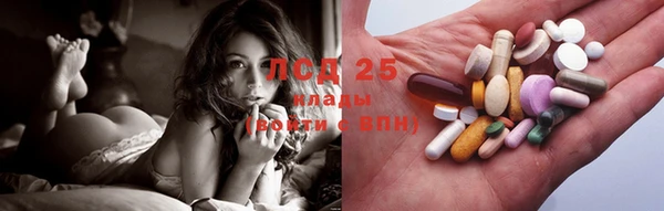 стафф Арсеньев