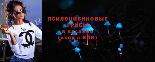 винт Армянск
