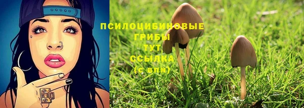 винт Армянск