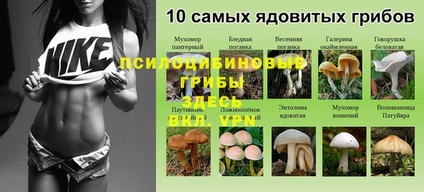 дурь Аркадак