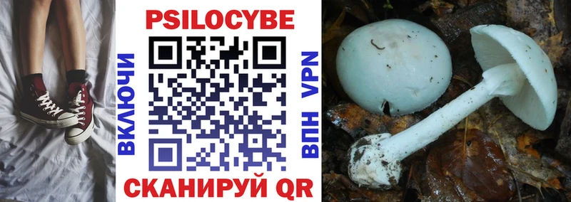 Галлюциногенные грибы прущие грибы  Купить  Северо-Курильск 